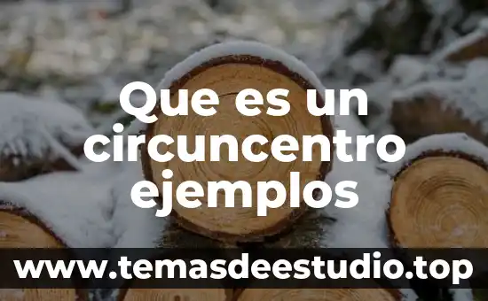 Que es hidrosolubles ejemplos 5 Que es un circuncentro ejemplos