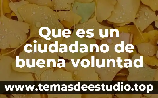 Que es ser una empresa eficiente 7 Que es un ciudadano de buena voluntad
