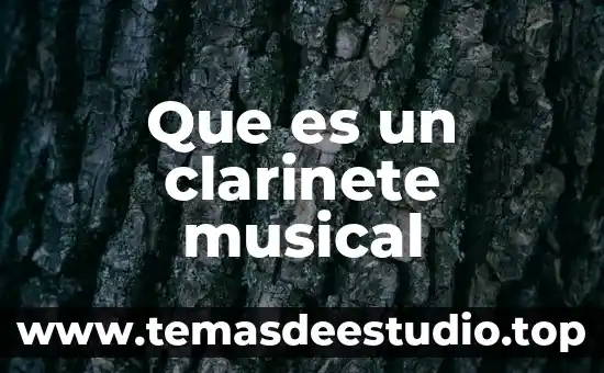 Que es un clarinete musical