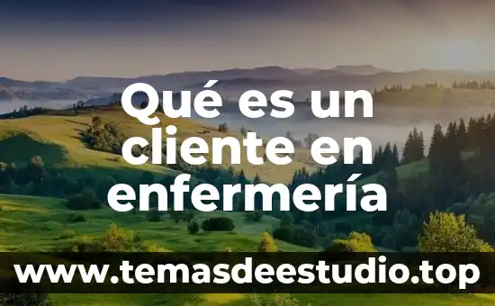 Qué es un cliente en enfermería