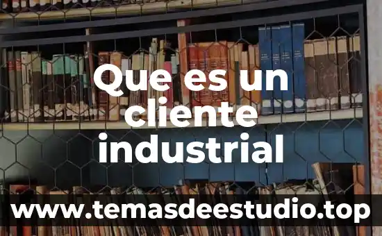 Que es un cliente industrial