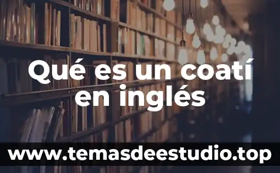Animal en inglés que es el pigeon 8 Qué es un coatí en inglés