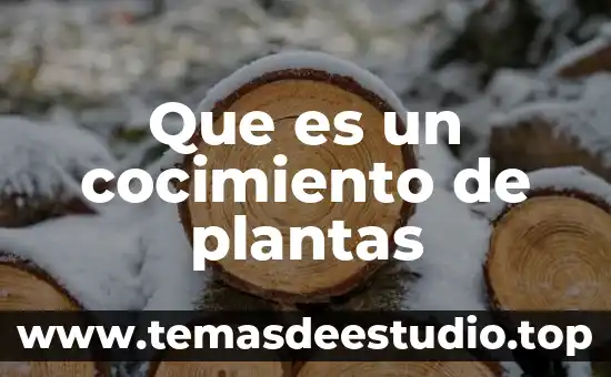 Que es un cocimiento de plantas