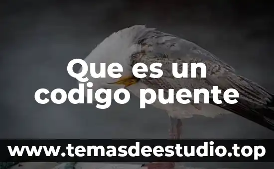 Que es un codigo puente