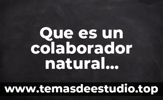 Que es un patrimonio cultutal y natural 7 Que es un colaborador natural definicion y caracteristicas
