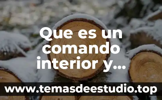 Que es el significado hector 5 Que es un comando interior y exterior