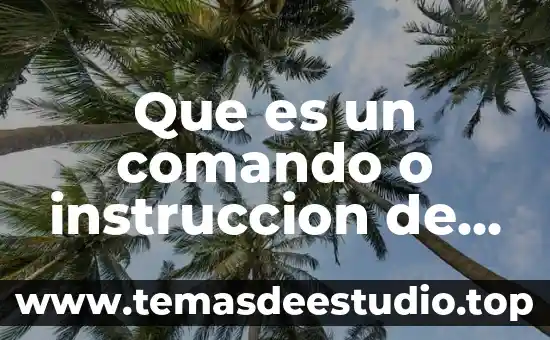 Que es un comando o instruccion de computadora