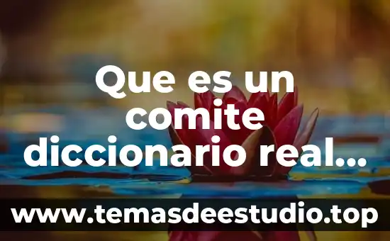 Qué es el sujeto según la Real Academia Española 3 Que es un comite diccionario real academia española