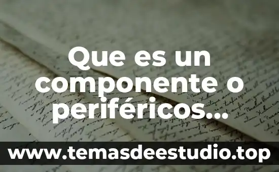 Que es un componente o periféricos externos de salida