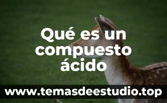 Que es vida real 5 Qué es un compuesto ácido