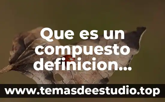 Que es endecasilabo definicion 8 Que es un compuesto definicion quimica