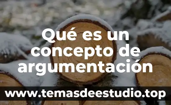 C señale que es la argumentación en las decisiones judiciales 7 Qué es un concepto de argumentación