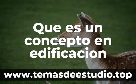 Qué es pubertad concepto 3 Que es un concepto en edificacion