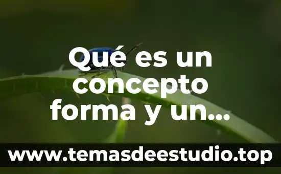 Qué es un concepto forma y un concepto material
