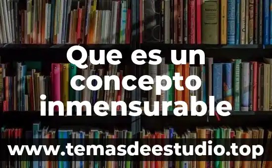 Que es un concepto inmensurable