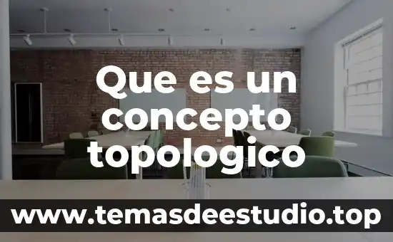 Que es un concepto topologico