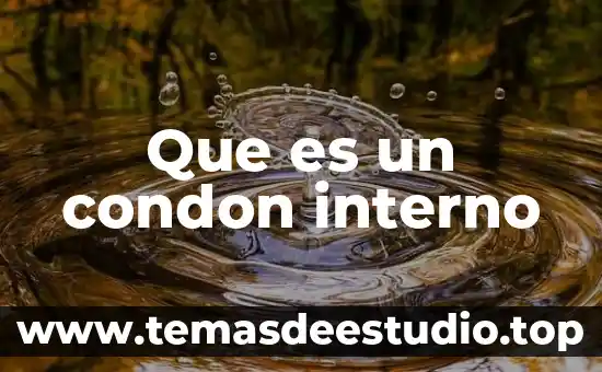Que es el angulo alterno interno 3 Que es un condon interno