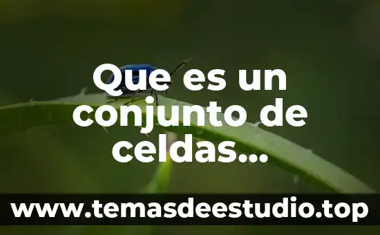 Que es un conjunto de celdas adyacentes en excel