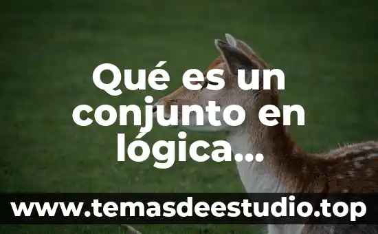 Que es una indeterminacion matemática y cuales son 7 Qué es un conjunto en lógica matemática
