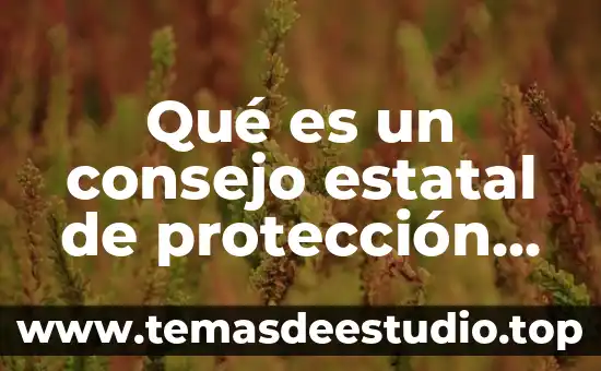 Qué es un consejo estatal de protección civil