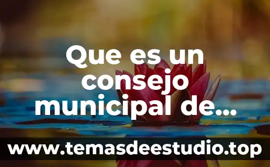 Por que es importante la economía para el desarrollo sustentable 5 Que es un consejo municipal de desarrollo rural sustentable