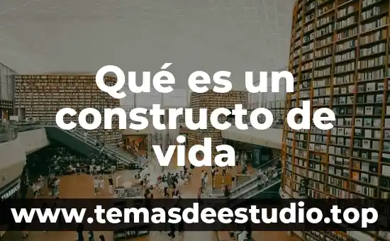 Qué es la filosofía en nuestra vida 6 Qué es un constructo de vida