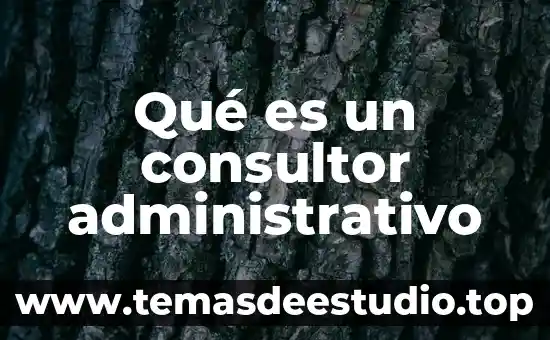 Que es un consultor junior y su funcion 5 Qué es un consultor administrativo