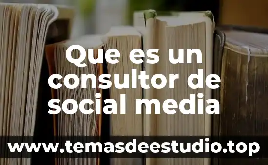 Que es un consultor de social media