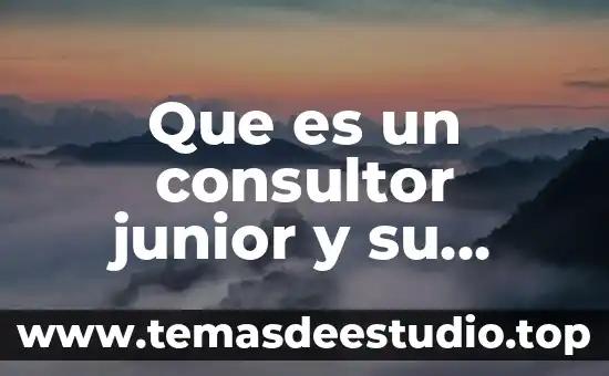 Qué es un consultor administrativo 4 Que es un consultor junior y su funcion