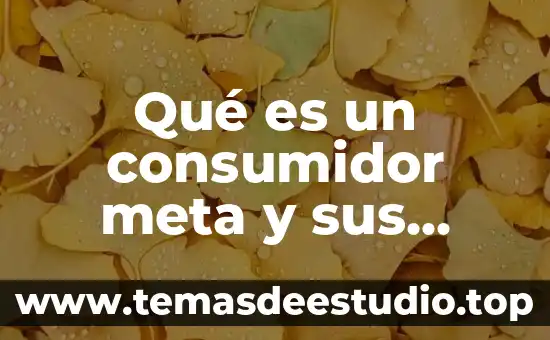 Por qué es importante la teoría del consumidor 4 Qué es un consumidor meta y sus tipos