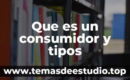 Por qué es importante la teoría del consumidor 8 Que es un consumidor y tipos