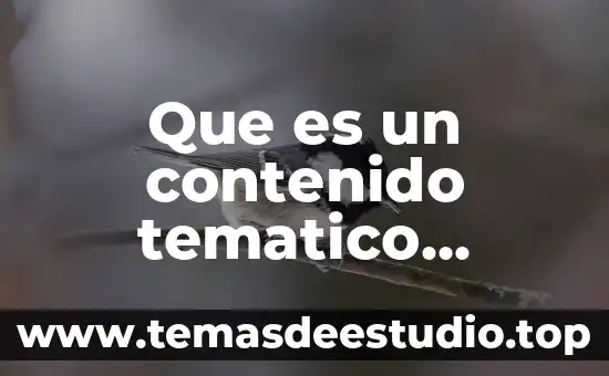 Qué es contenido temático definición 6 Que es un contenido tematico ejemplo