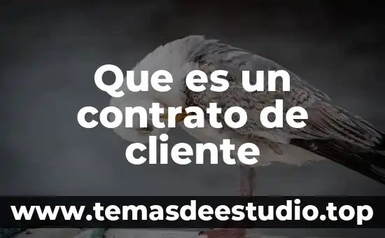 Que es un contrato de cliente