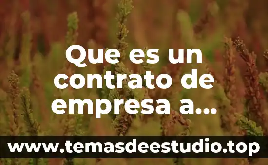 Que es un contrato de empresa a usuario