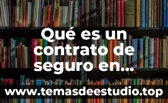 Que es el principio de ejecución del contrato 8 Qué es un contrato de seguro en México
