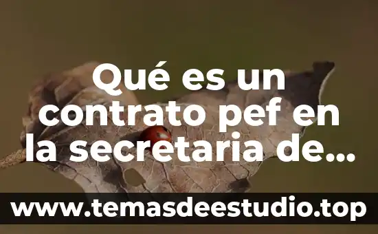 Que es una contrato de arrendamiento 7 Qué es un contrato pef en la secretaria de salud