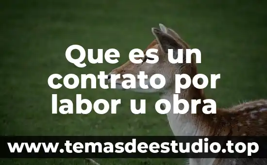 Que es u relato comun 7 Que es un contrato por labor u obra