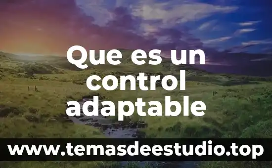 Que es ser una empresa eficiente 3 Que es un control adaptable