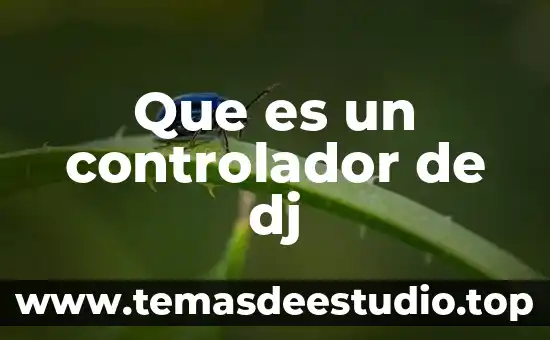 2CO2 que es 3 Que es un controlador de dj