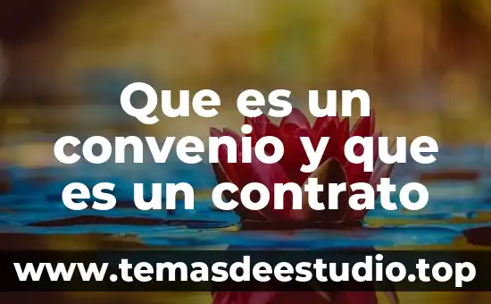 Que es el principio de ejecución del contrato 7 Que es un convenio y que es un contrato