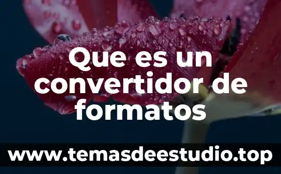 Que es un convertidor de formatos