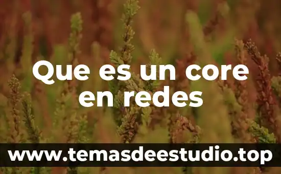 Qué es el tamaño de mensaje en redes 4 Que es un core en redes