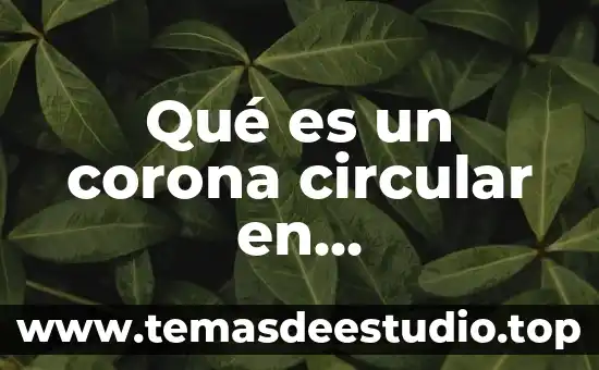 Que es la intencion didactica en una planeacion en matematicas 8 Qué es un corona circular en matemáticas