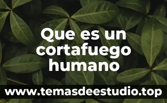 Que es un cortafuego humano