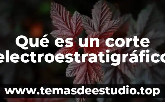 Qué es un corte electroestratigráfico