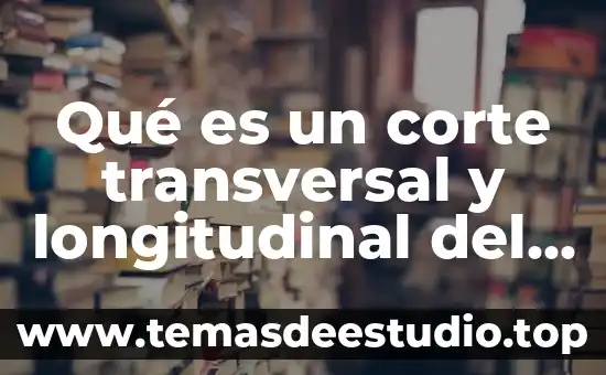 Qué es diagrama de tallo y hojas en matemáticas 5 Qué es un corte transversal y longitudinal del tallo