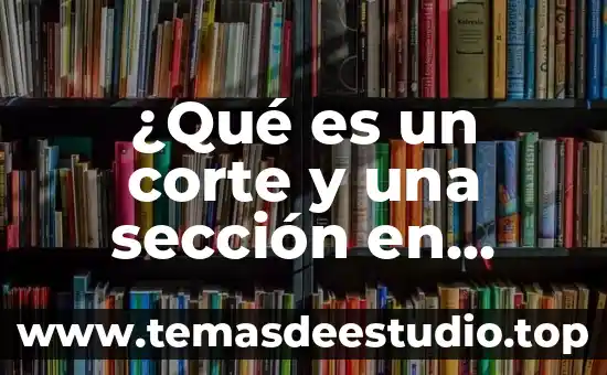 Que es fondo sección serie y unidad documental 3 ¿Qué es un corte y una sección en dibujo técnico?