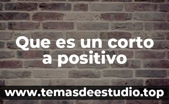 Que es anorexia concepto corto 3 Que es un corto a positivo