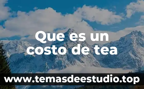 Que es un costo de tea