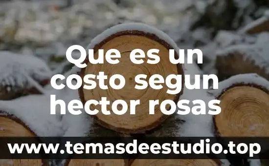Que es costo unitario planta 7 Que es un costo segun hector rosas